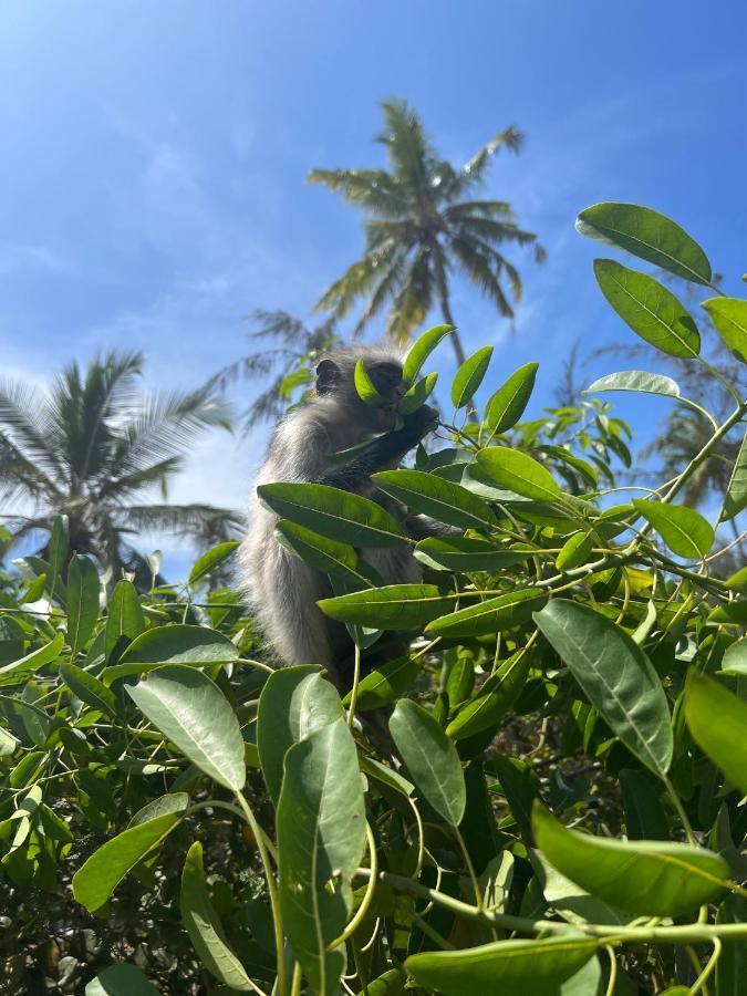 Kivuli Beach Resort Падже Екстер'єр фото