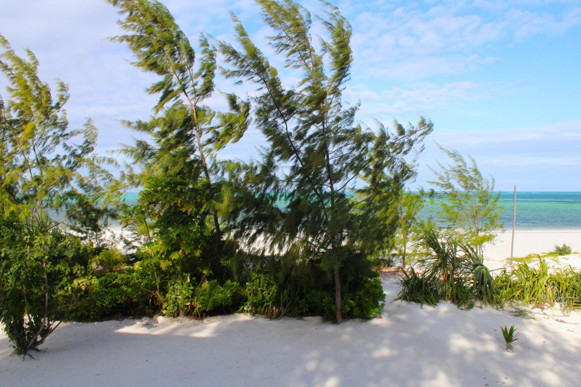 Kivuli Beach Resort Падже Екстер'єр фото